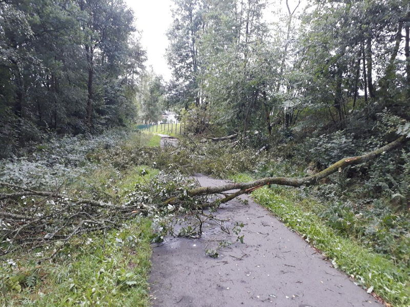 Gewitter sorgt für einsatzreichen Sonntag