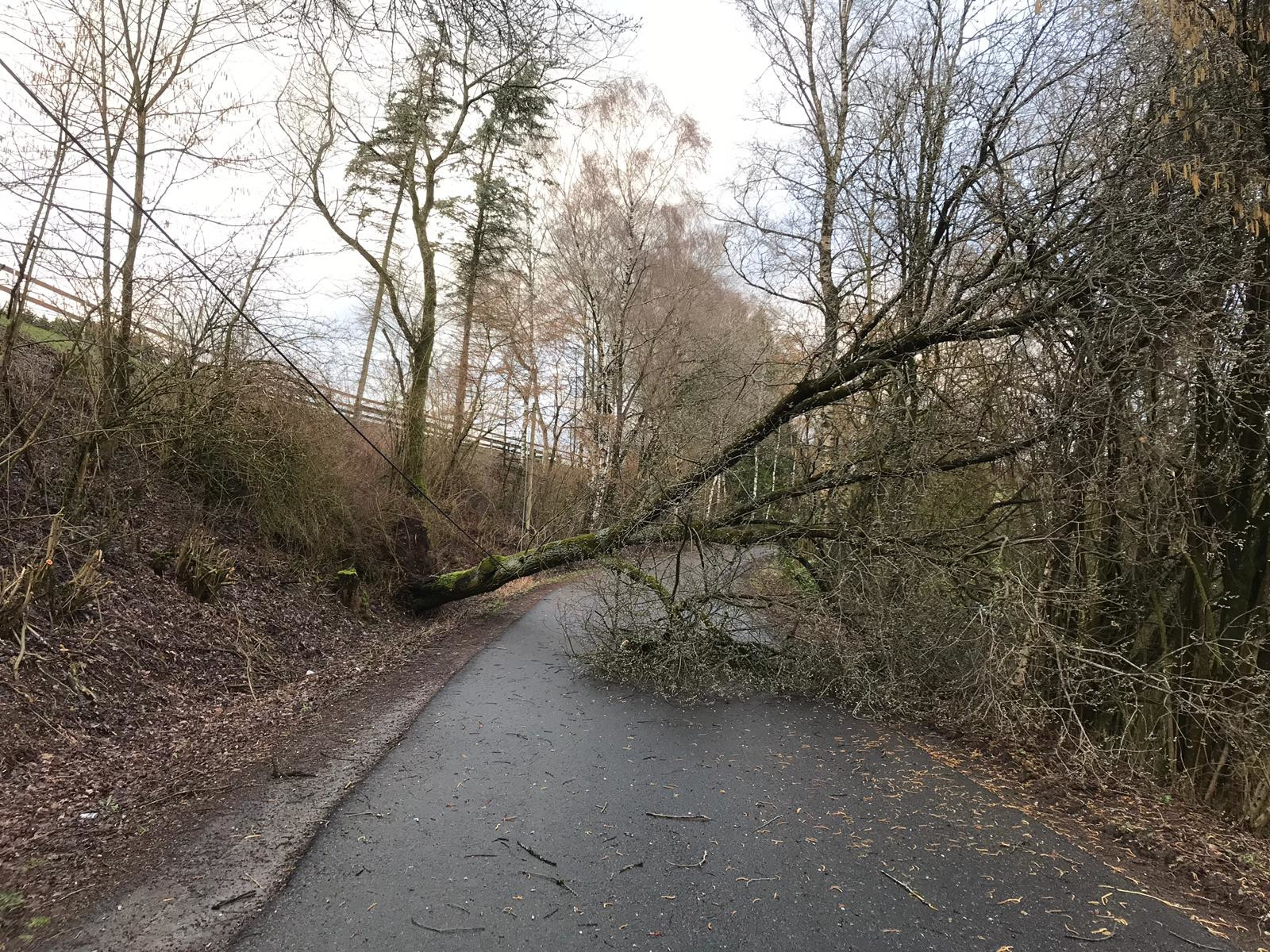 Sturmtief Eberhard beschädigt Dächer und stürzt Bäume um