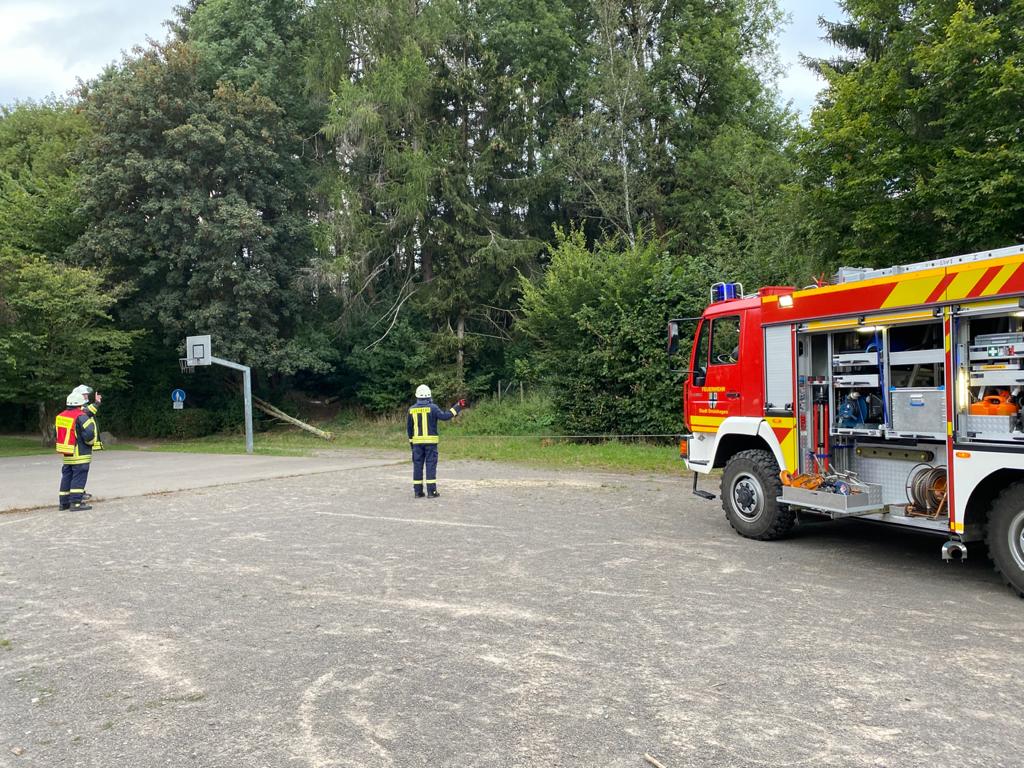 Baum droht umzustürzen